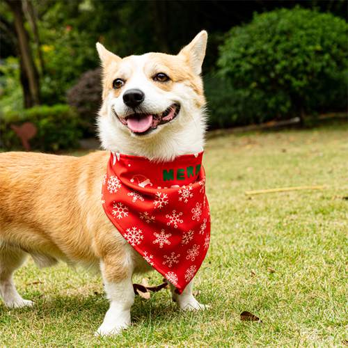 Dog Bandanas