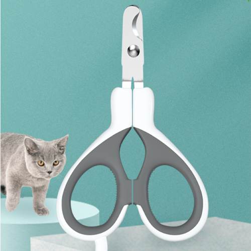 Dog Grooming tools