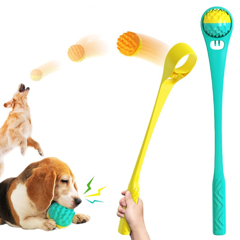 Pet Toy Crunchy Chew Ball Owner Pet Interactive Multifunctional Dog Toys Chew