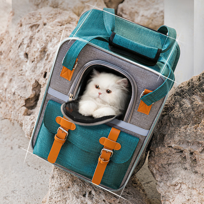 Cat Out Bag Portable Large Capacity Backpack Pet Carrier Bag Reflective Backpack Blue Green Customized Color Pet Bag