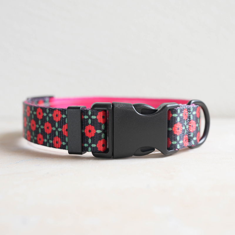 Oem Dog Collar And Leash Set Fashion Pet Dog Collars Leashes Custom Designer Buckle Dog Collar