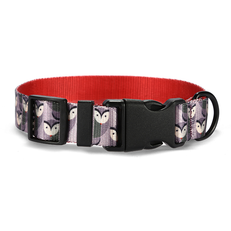 Adjustable Designer Colorful X Xl M Xl Size Metal Buckle Dog Collar