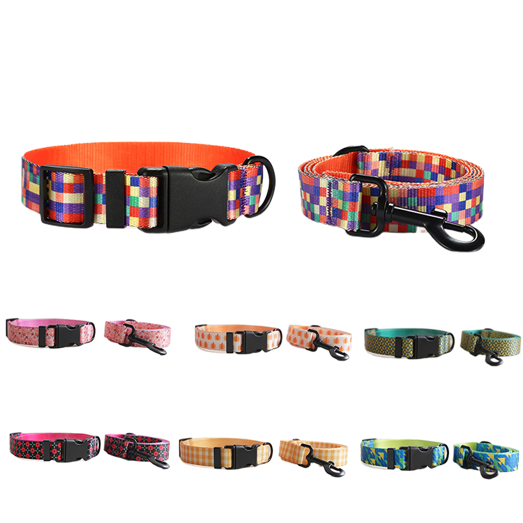 Wholesale Pet Collar And Leash Set Paw Print Cute Puppy Collar Walking Dog Collar Leash Set