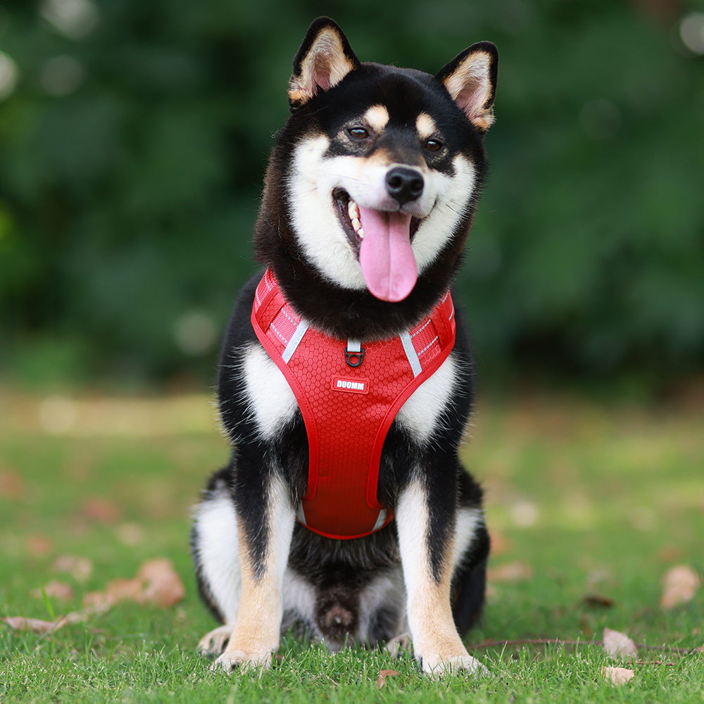 New Explosion Proof Rushed Vest Reflective Type Breathable Strap Pet Supplies Adjustable Rope Cat Dog Pet Chest Back Harness