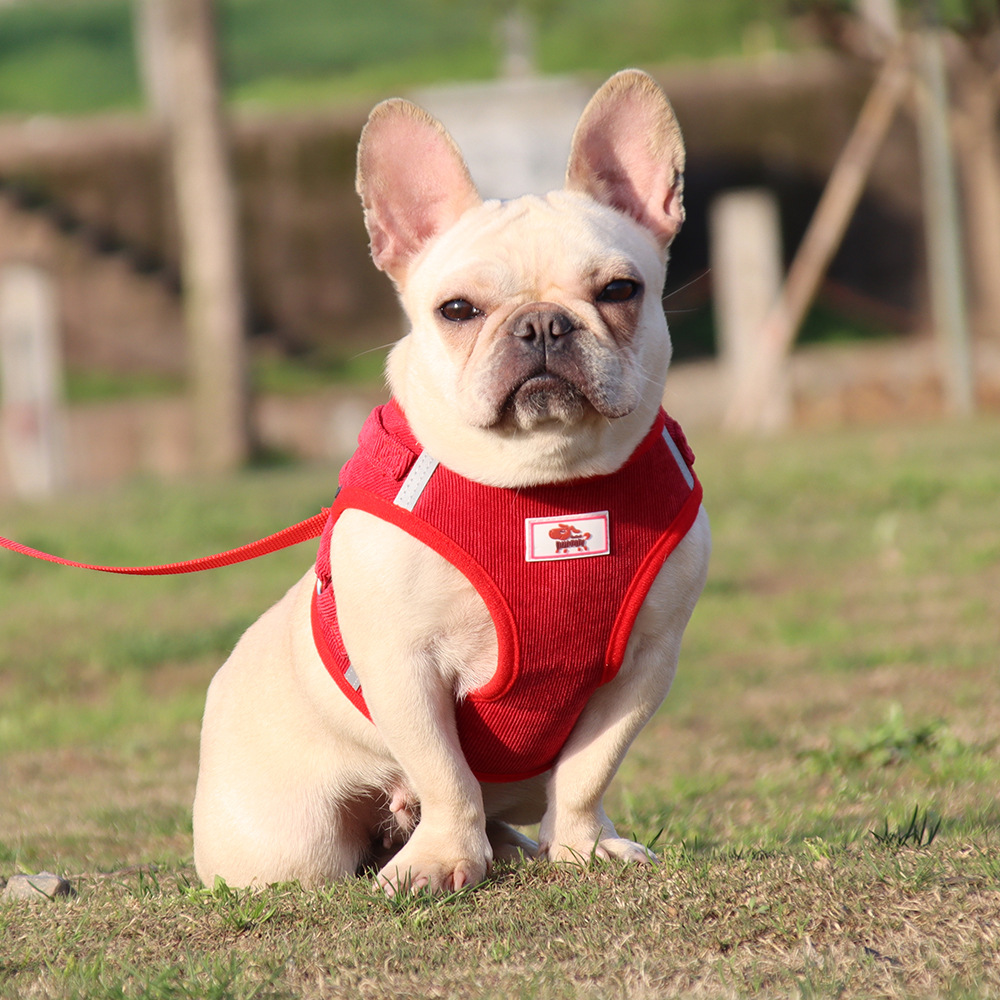 Fashion Reflective Breathable Mesh Custom Adjustable Dog Harness Manufacturers Pet Harness Dog Leash Pet Harness For Sale