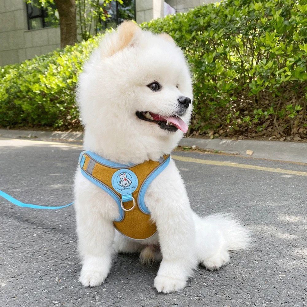 Hot Sales Christmas Dog Harness Custom Adjustable Pet Dog Collar Soft Dog Vest Harnesses