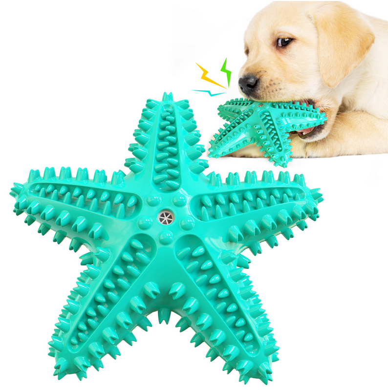 Best Seller Cheap New High Quality Eco Friendly Natural Rubber Floating Molar Squeaky Pet Dog Water Toy