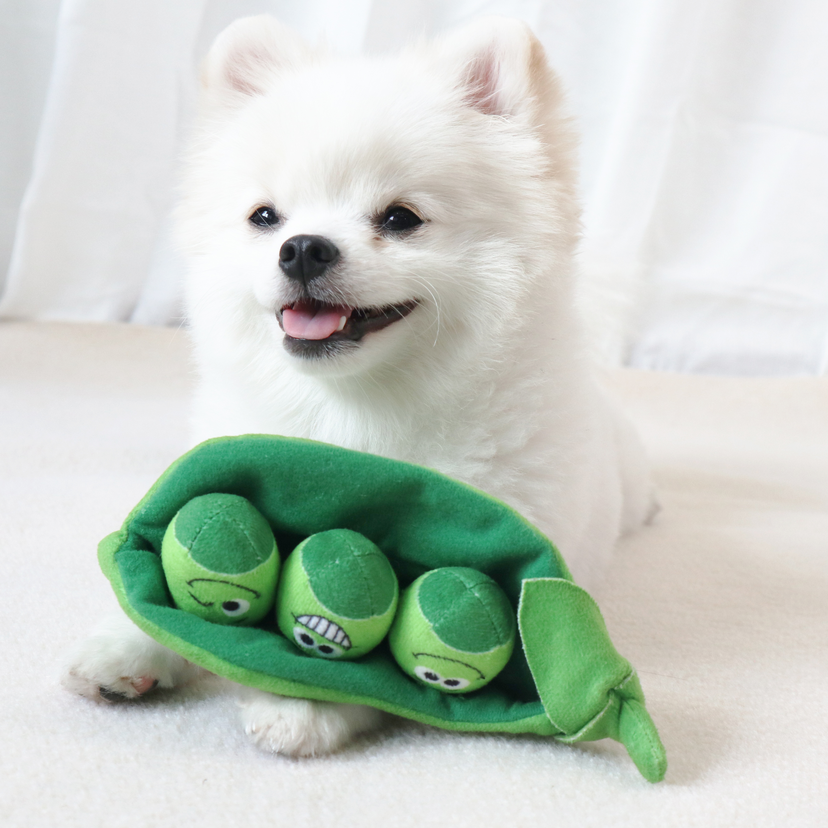 Beejay Professional Best Price Plush Toy Dog Customize Beans Outdoor Puppy Toy