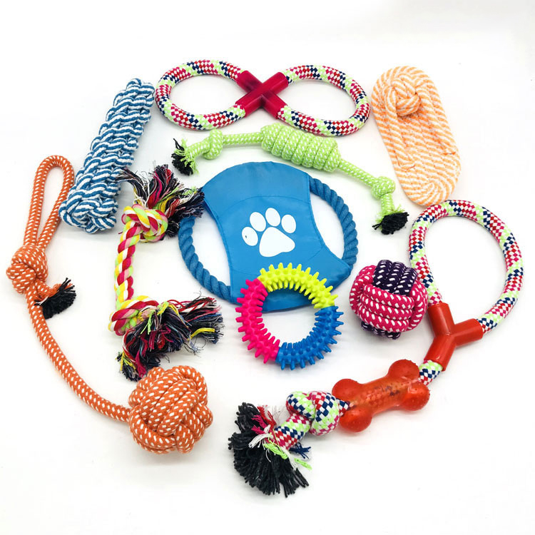 2023 Hot Sale 10 Pcs Manufacture Wholesale Luxury Cute Interactive Bite-resistant Molar Pet Dog Cat Chew Rope Toy Set