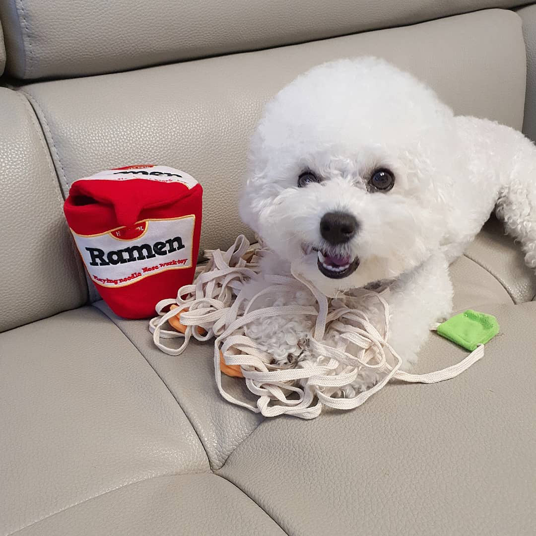 Pet Beejay Food Leakage Toys Dog Plush Noodles Shape Korean Style Ins Chew Smell Interactive Dog Toys
