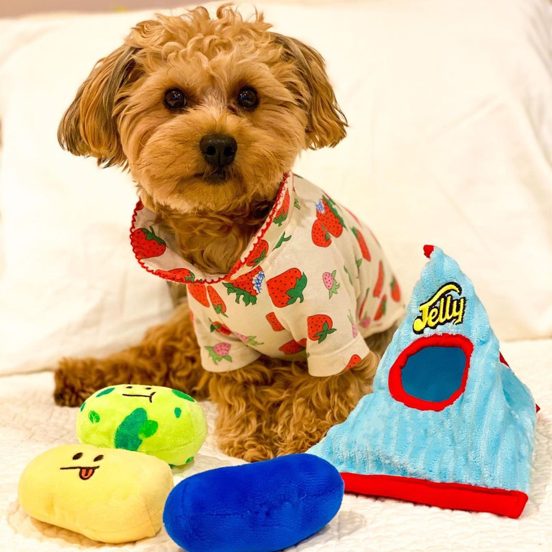 Ins Hot Korean Beejay Chew Pet Toy Hidden Food Cute Jelly Candy Interactive Squeaky Luxury Bb Dog Toys Plush Puppy