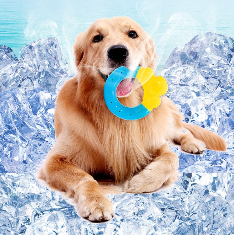 Hot Sale Hot Summer Durable Frozen Indestructible Ice Tpr Eco Friendly Pet Chew Dog Water Toys