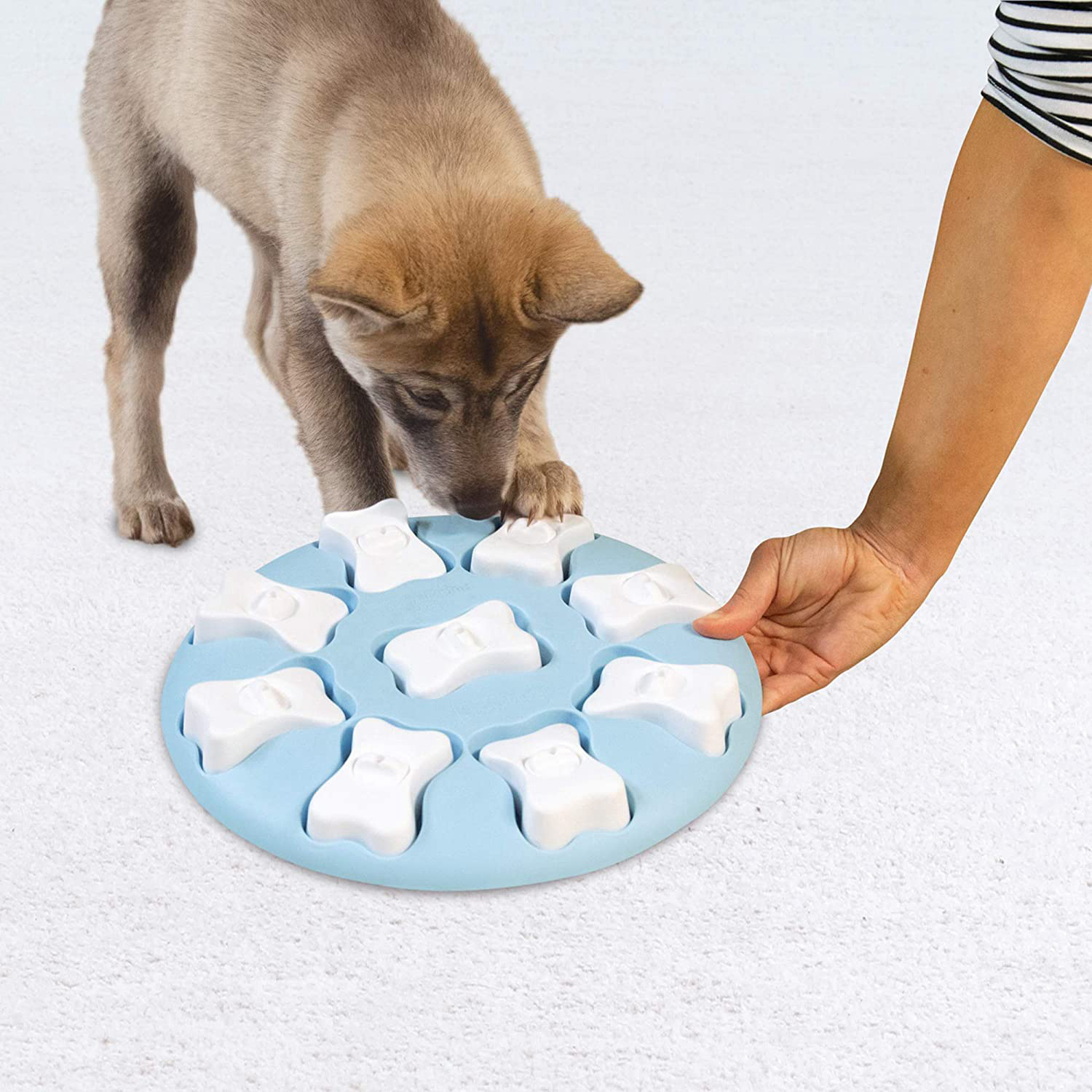 2023 Hot Sale Eco Friendly High Quality Anti Choking Slow Eating Interactive Smart Pet Dog Toy Puzzle