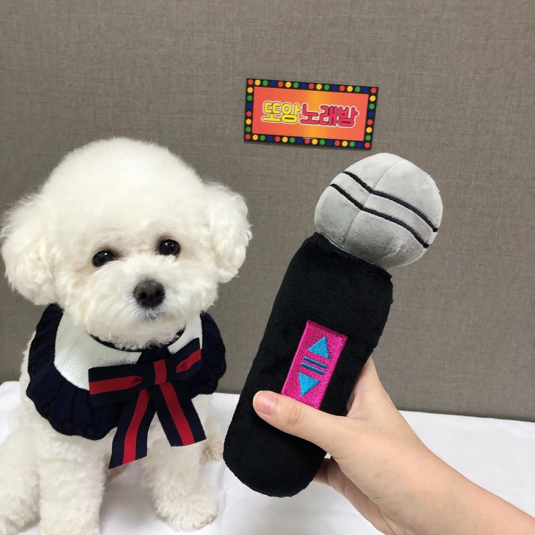 Korean Style Ins Luxury Squeaky Beejay Pet Toy Hide And Seek Karaoke Microphone Rattle Chewer Interactive Cute Dog Plush Toy