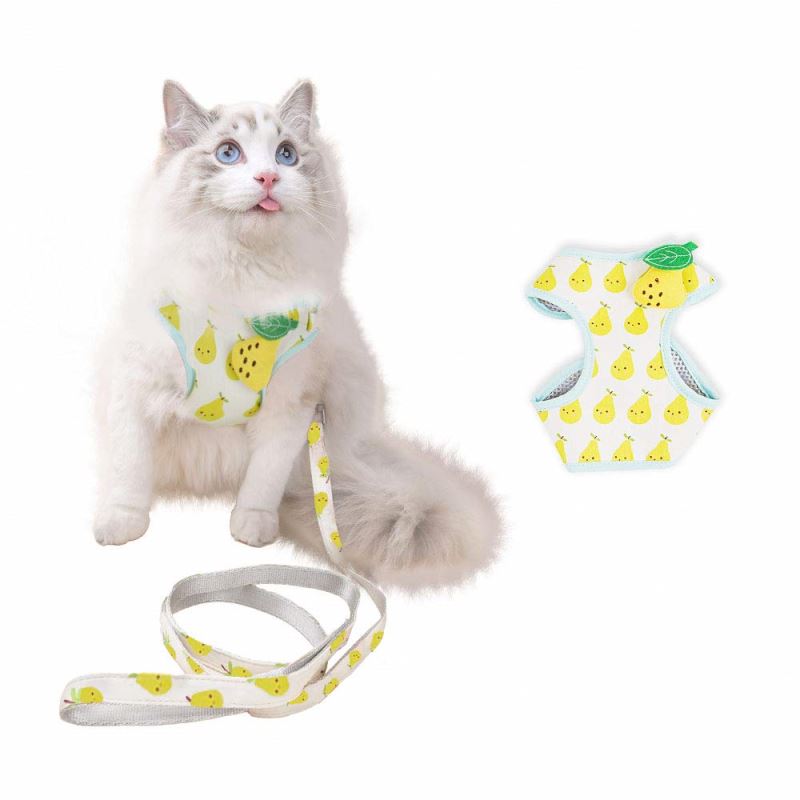 New Cartoon Fashion Luxury Floral Adjustable Mesh Cute Fruit Pattern Pet Cat Dog Leash And Backpack Harness Set