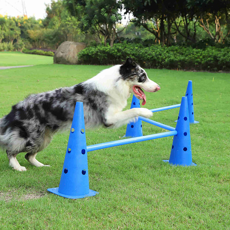 Dog Hurdle Pet Dog Agility Products Dog Training Three Hurdle Folded Agility Cones With Crossbar