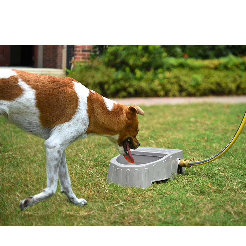 Outdoor Non-slip Training Dog Automatic Pet Water Drinking Fountain Step On The Water