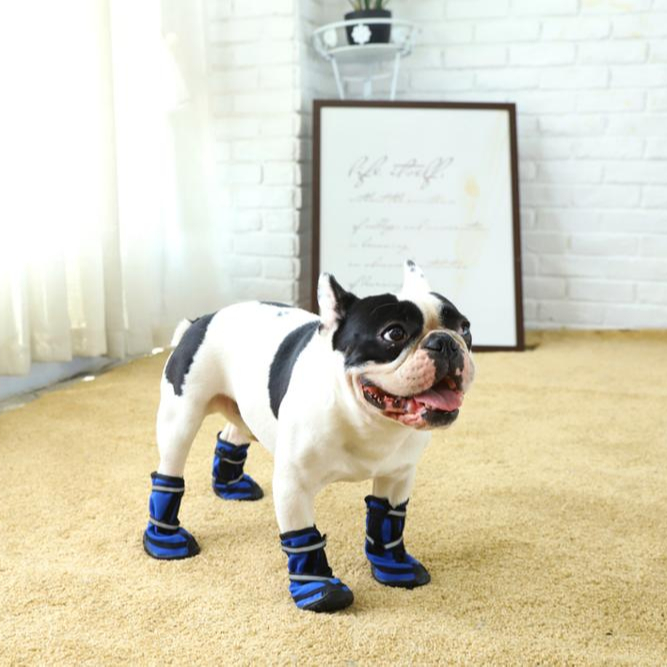 Sustainable Pu And Plush Fashion Design Dog Socks Dog Shoe,Guaranteed Quality Indoor Dog Shoes