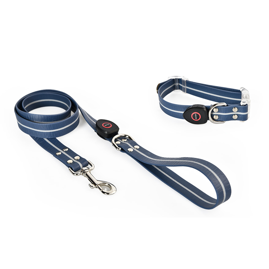 Petstar Antifouling Pvc 3 Flash Modes Outdoor Luminous Dog Collar Leash Set