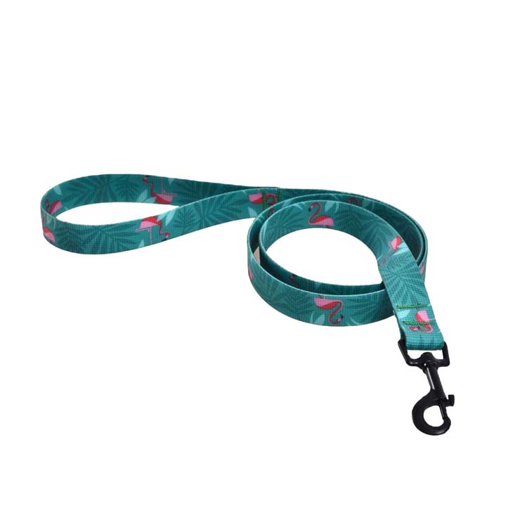 Pet Training Supplies Product Oem Factory Custom Dog Leash Luxury Custom Logo Dog Collar