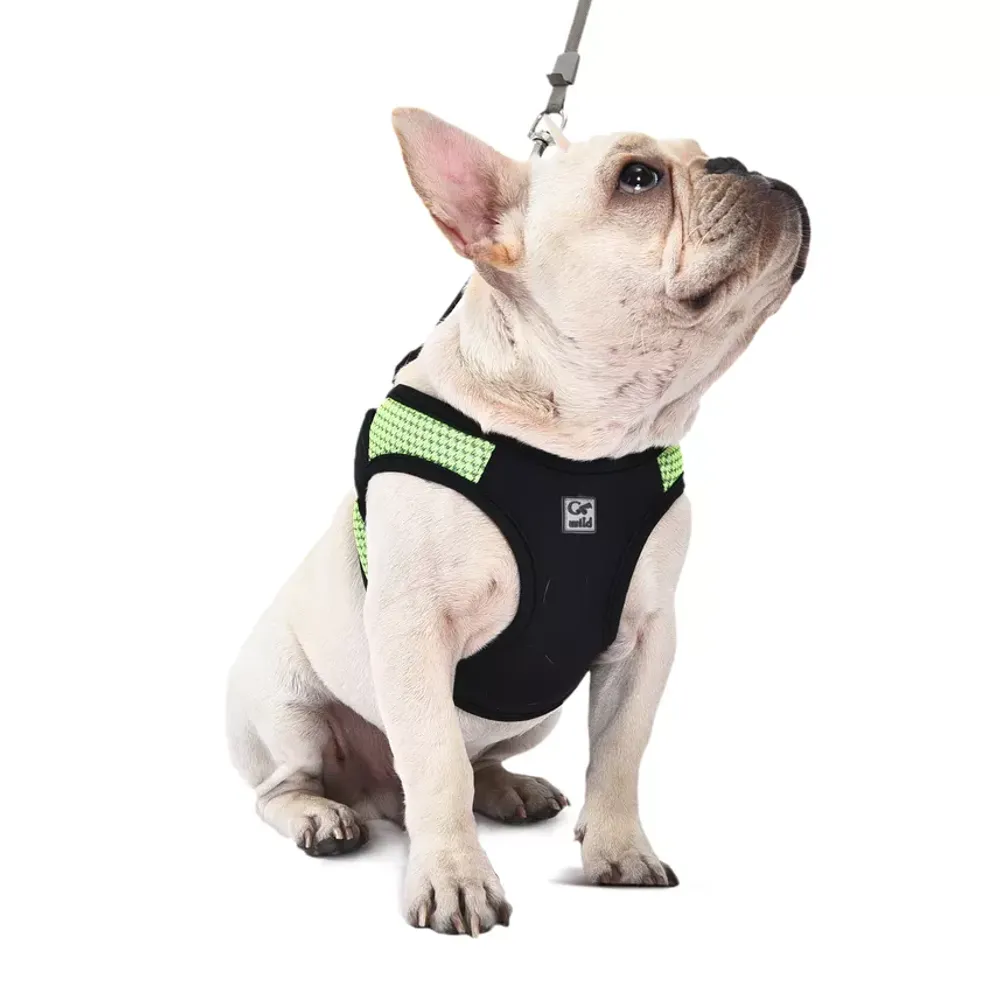 Custom Logo Oem Pet Harness Walking Sporting Travelling Support Mesh Breathable Dog Harness
