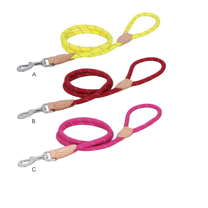 Professional Cheap Multipurpose Dog Leash Manufacturer Eco-friendly Dog Collar And Leash