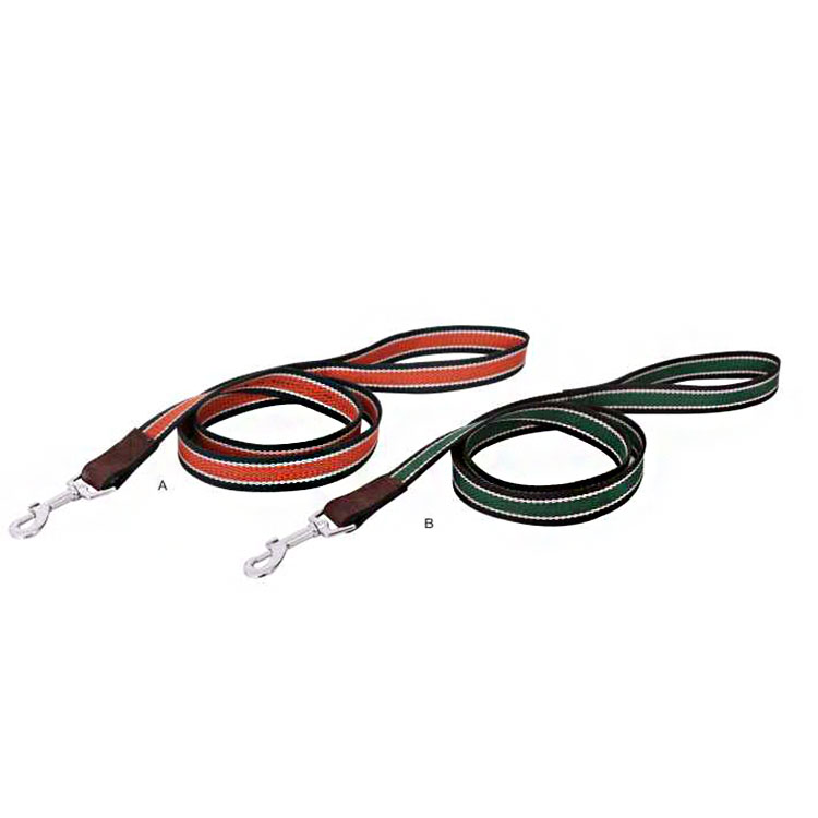 Extremely Durable New Design Eco-friendly Hands Free Retractable Dog Leash