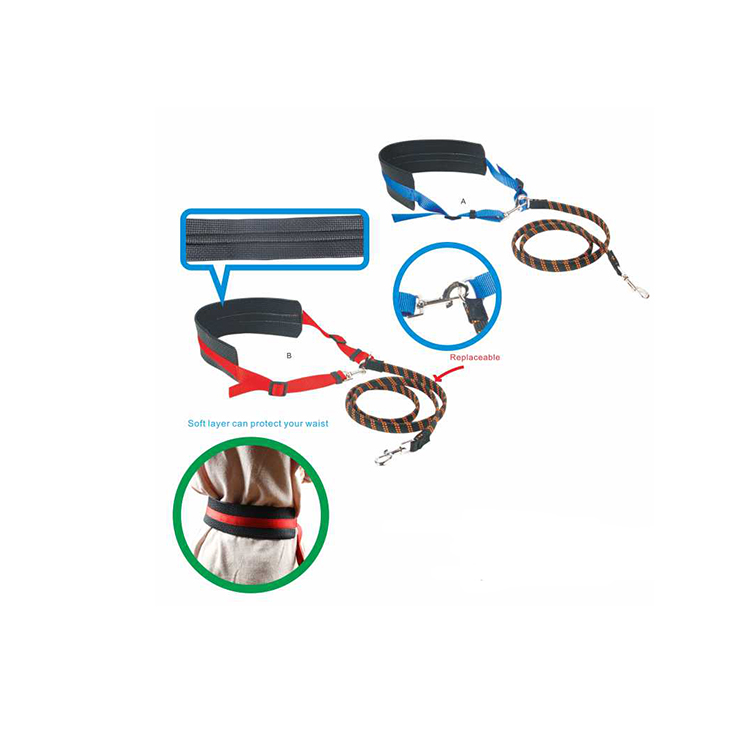 China Dog Leash Supplier Products Accessories Dog Leash Retractable Surfboard Leash
