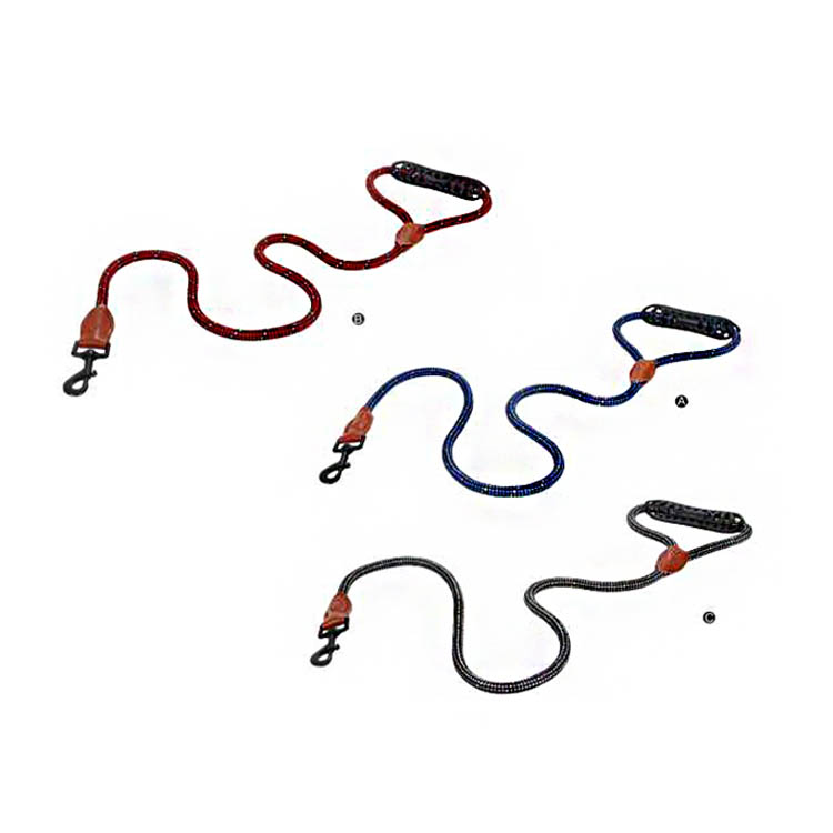 2022 New Decorative Dog Leash Hands Free Retractable Dual Dog Leash