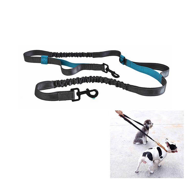 Reflective Stitching Webbing Extension-type Dog Leash Double Hooks Retractable Double Dog Bungee Leash