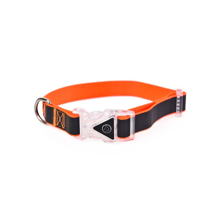 Sell Well Green Orange Webbing Designers Dog Jewelry Luxury Small High Quality Dog Collar