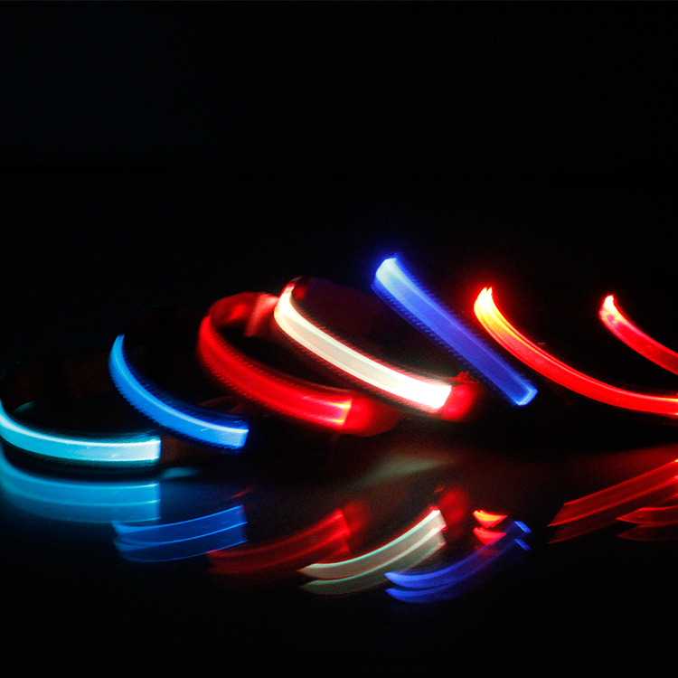 Quality-assured Luxury Personalized Nylon Waterproof Custom Led Dog Collar