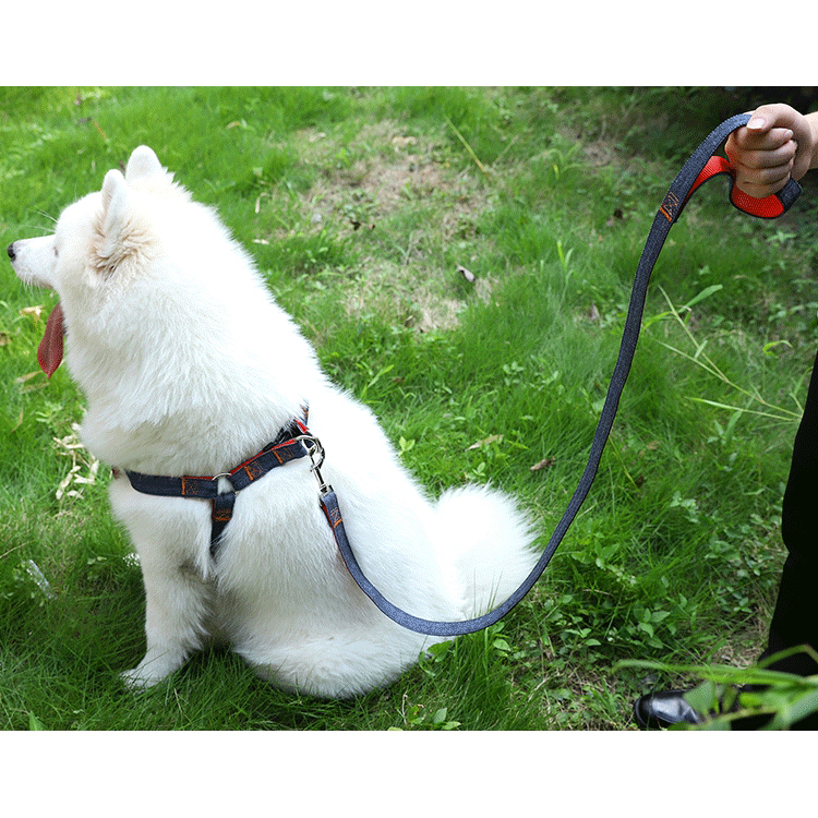 Durable Cowboy Cloth Fashion Dog Harness Pet Durable Harness And Leash Set