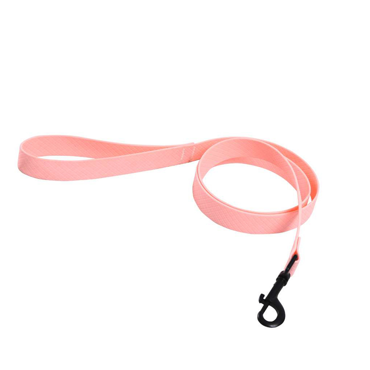 Nylon Waterproof Wholesale Personalized Durable Dog Collar Leash Dog Leash For Dog