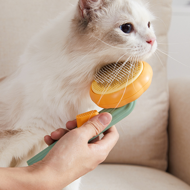 Pet Products 2023 Pet Hair Remover Grooming Brush Pumpkin Comb