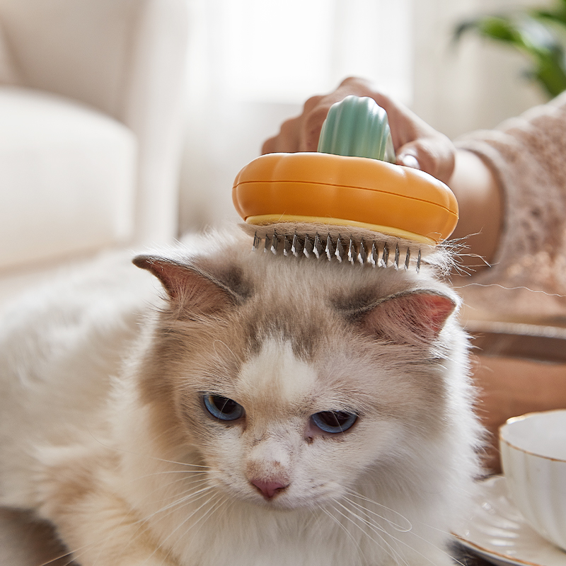 Pet Pumpkin Brush Self Grooming Brush Cat Pet Hair Remover Grooming Brush Pumpkin Comb