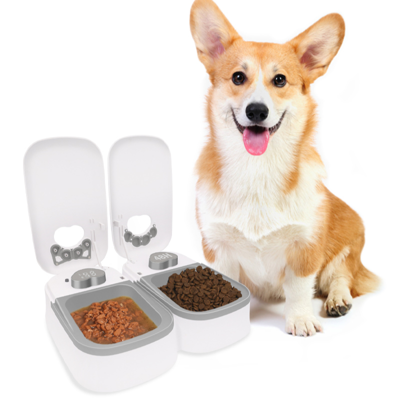 Automatic Smart Pet Bowls & Feeders Time Setting Plastic Pet Food Cat Bowl