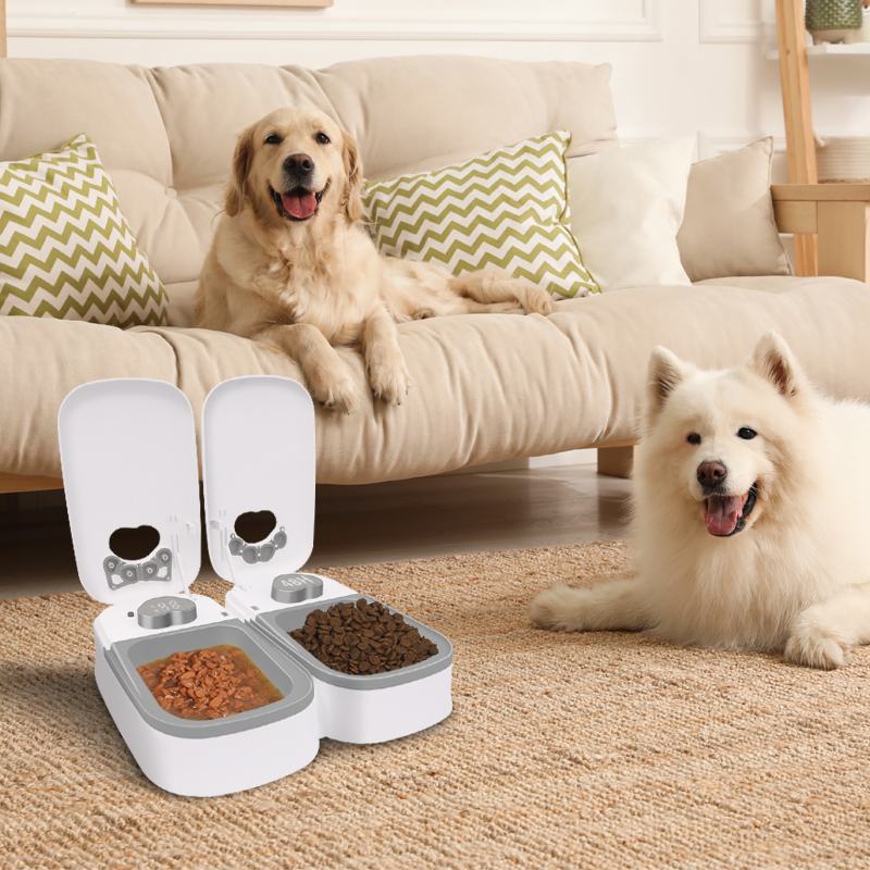 Two Bowls Automatic Smart Time Setting Dry And Wet Separate Pet Feeders