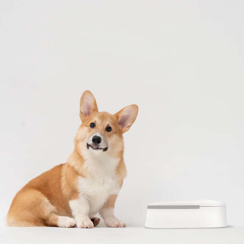 Pet Feeder Automatic Time Setting 2 Bowls 24 Oz Automatic Smart Pet Bowl And Feeder