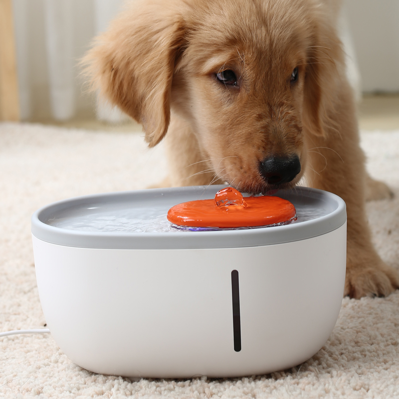Smart Dog Water Fountain Custom Logo Pet Water Fountain Dispenser Filter