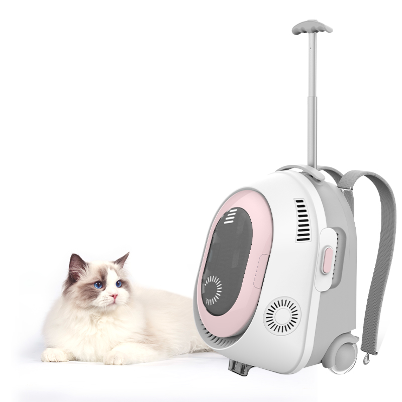 Luxury Plastic Fashion Pet Transport Box Cat Cage Dog Travel Carrier