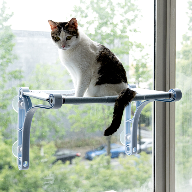 Manufacturer Wholesale Stable Sucker Hanging Window Cat Hammock