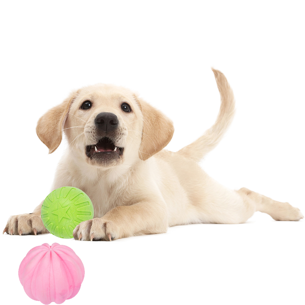Manufacturer Wholesale Custom Logo Green Pink Dog Tpr Ball Toys