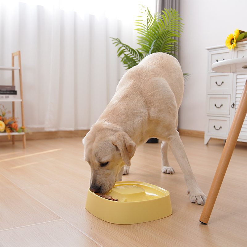 Manufacturer Wholesale Plastic Four Compartment Dog Bowl Grey Yellow