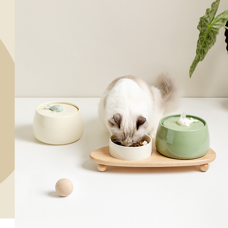Manufacturer Wholesale Electric Green Beige Cat Luxury Bowls With Water Fountain