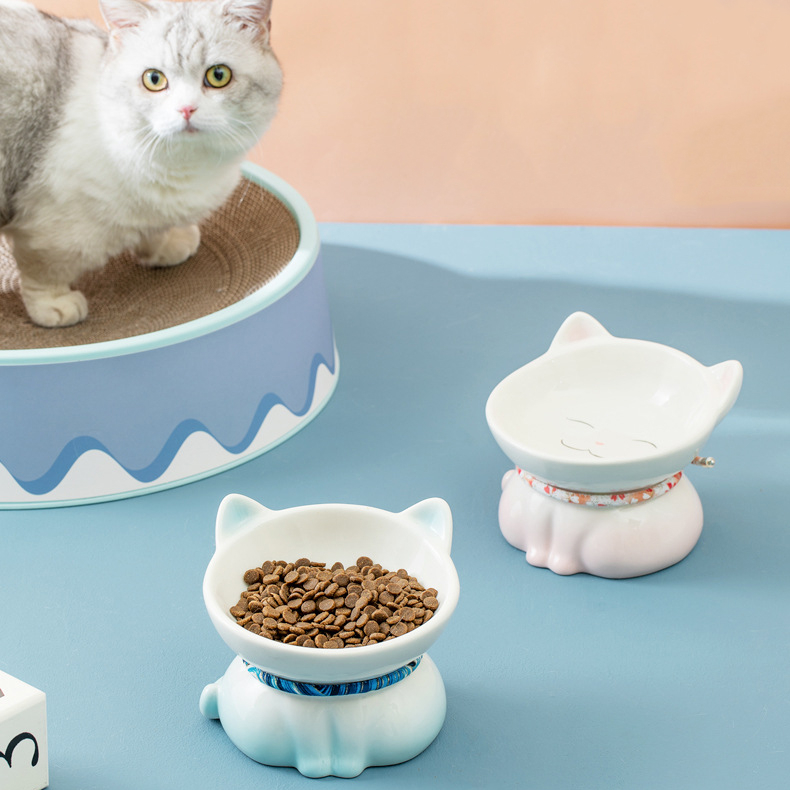 Manufacturer Wholesale Blue Pink Ceramic Cat Luxury Bowls With Ear