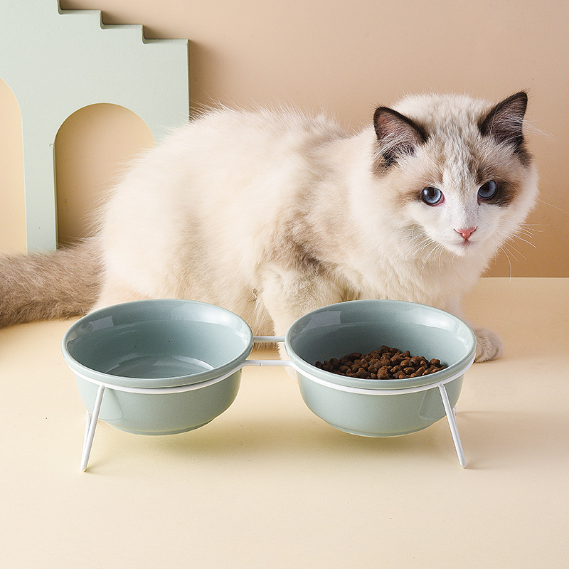 Manufacturer Wholesale Green Yellow Single Double Ceramic Dog Cat Bowls With Frame