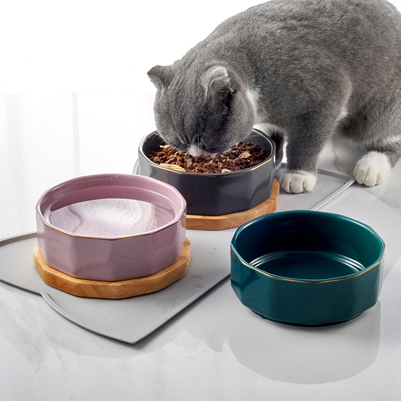 Manufacturer Wholesale Luxury Microwaveable Ceramic Cat Dog Bowl With Wooden Underlay