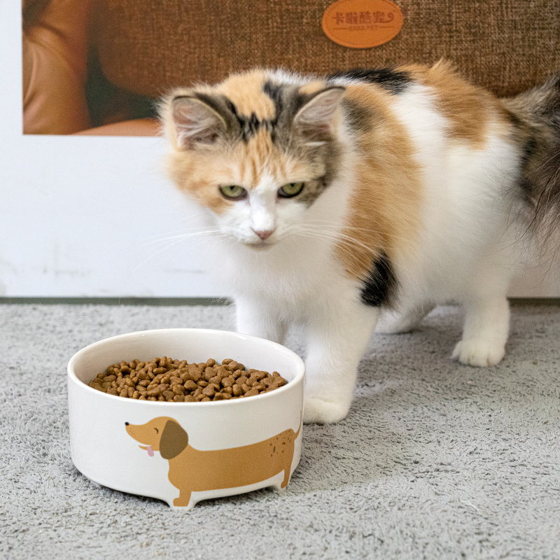 Manufacturer Wholesale Ceramic White Gray Dog Pet Bowls Multi-pattern