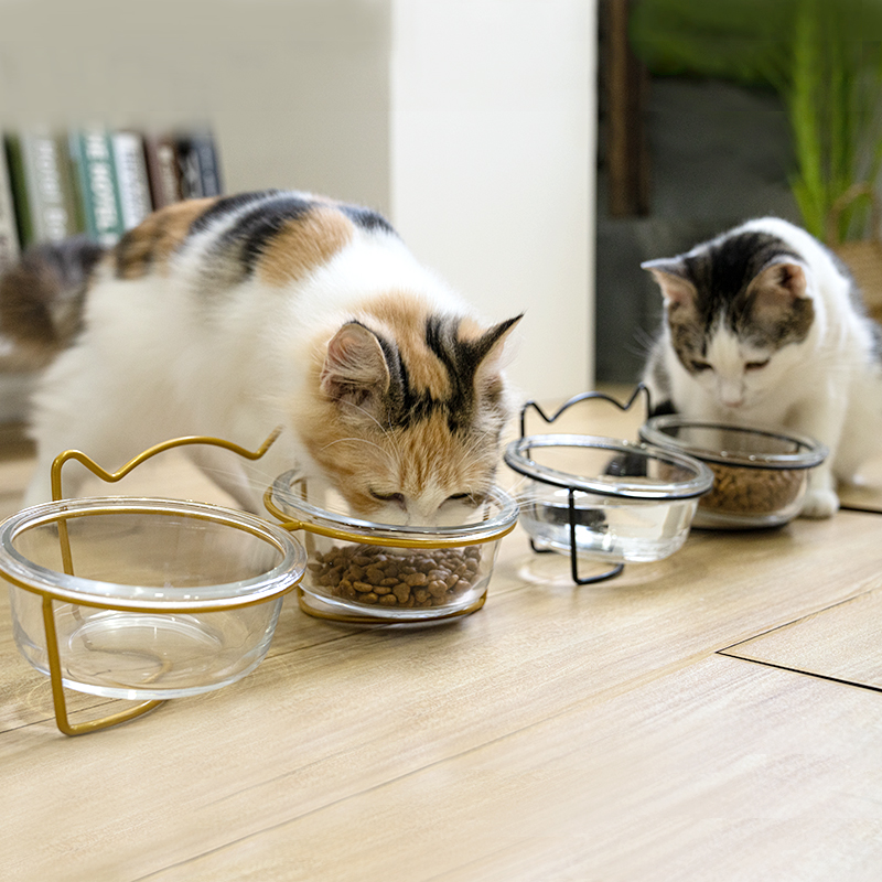 Manufacturer Wholesale Black Gold Cat Dog Bowl Glass Material